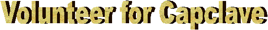 Volunteer for Capclave